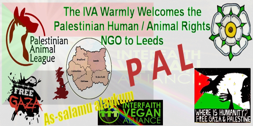 Education Archives - Interfaith Vegan Alliance